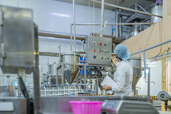 A professional factory worker inspects and monitors canned food